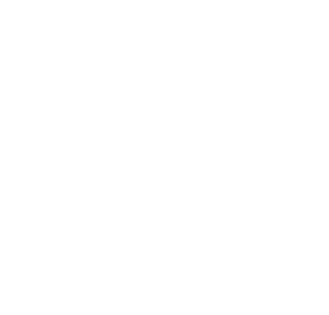 PCA 50th Logo_white (1)